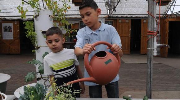 两个男孩在给植物浇水